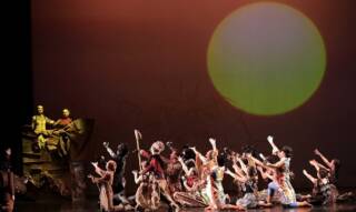 Il cerchio della vita – Il Musical