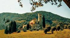 Montalcino: escursione fra il Brunello e l’Abbazia di Sant’Antimo