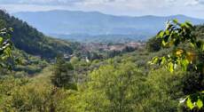 Montefiridolfi e le Colline di Mercatale