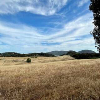 Escursione da Sassetta al Monte Calvi