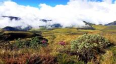 Trekking alle sorgenti del Rio Rovigo