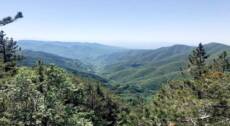 Tour alla Cascata di Moraduccio