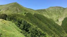 Trekking nell’alta Valle del Rabbi