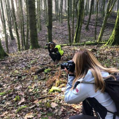 La straordinaria Foresta della Lama