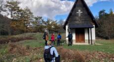 La straordinaria Foresta della Lama