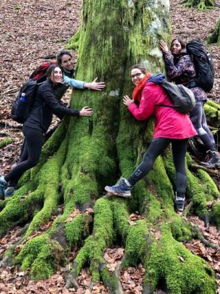 La straordinaria Foresta della Lama