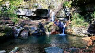 Il Bramito nel Parco Regionale dei Laghi Suviana e Brasimone