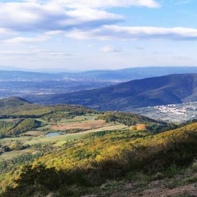 Escursione con castagnata ai faggi di Javello