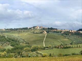 Panzano, la “Conca d’Oro del Chianti”