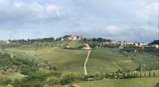 Panzano, la «Conca d’Oro del Chianti»