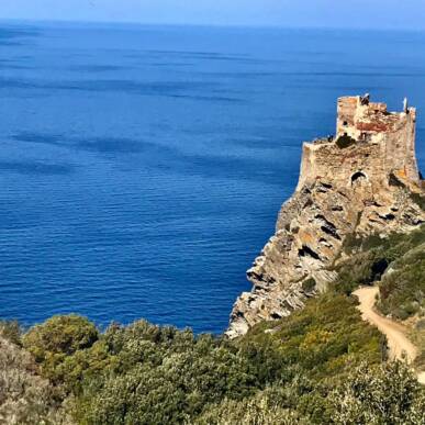 Escursione all’isola di Gorgona