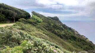 Escursione all’isola di Gorgona