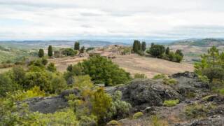 I Tesori della Valle del Pavone