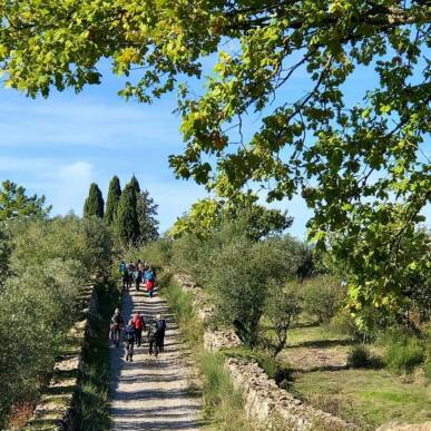 San Casciano dei Bagni, Terme e Trekking