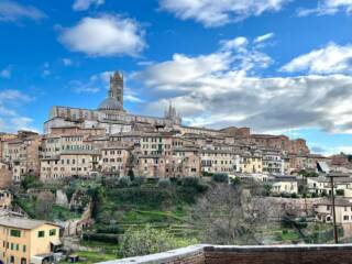 Le Fonti di Siena