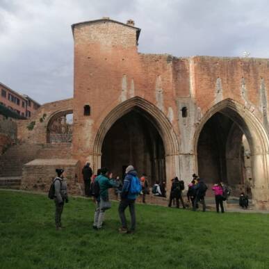 Le Fonti di Siena