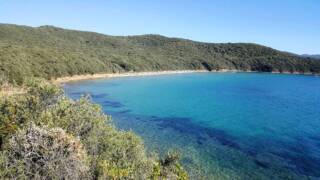 Cala Violina e le Bandite di Scarlino