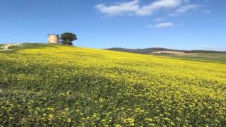 Trekking a La Sassa