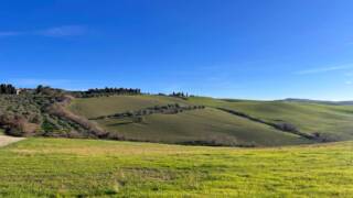 La via Medievale di Radicondoli e Belforte