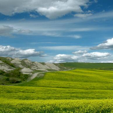 Trekking alla scoperta delle Biancane di Leonina nelle Crete Senesi