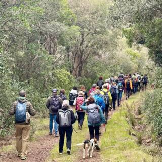 Trekking alla scoperta delle Biancane di Leonina nelle Crete Senesi