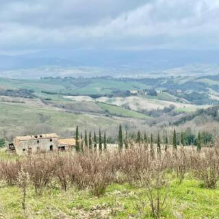 Grotte Gialle Linaglia e Parmigiani