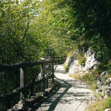 Gioventù e altre novelle