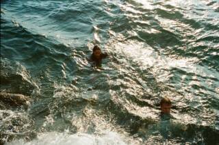 Suoni del Presente: Les Biologistes Marins