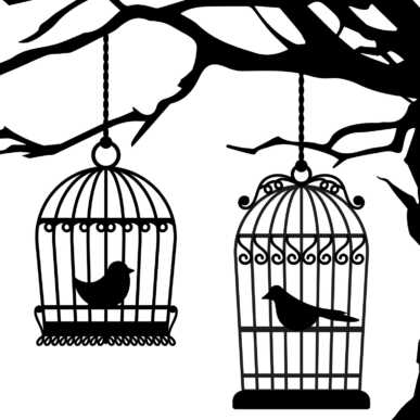Osteria degli uccelli in gabbia – 20 Settembre 2019