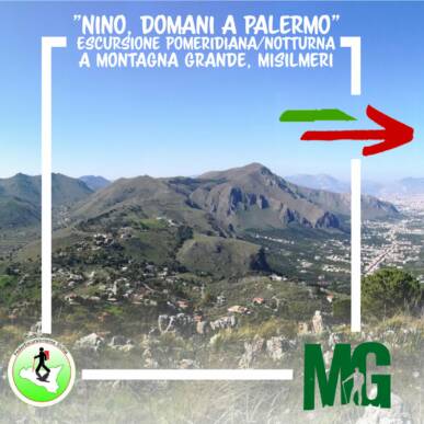 “Nino, domani a Palermo …” – Escursione naturalistica pomeridiana/notturna a Montagna Grande