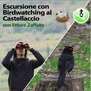 Escursione naturalistica con birdwatching da Bosco Mela al Castellaccio