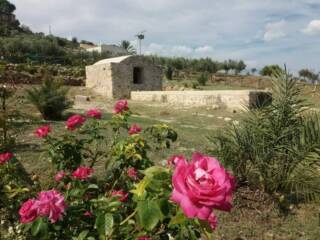 Escursione al Castello di Calatubo e alla Cuba delle Rose