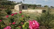 Escursione al Castello di Calatubo e alla Cuba delle Rose