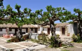 Trekking tra bagli e vigne della tenuta Chiarelli