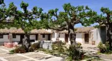 Trekking tra bagli e vigne della tenuta Chiarelli