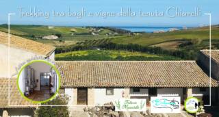 Trekking tra bagli e vigne delle tenute Chiarelli Rossotti con visita al Castello di Calatubo