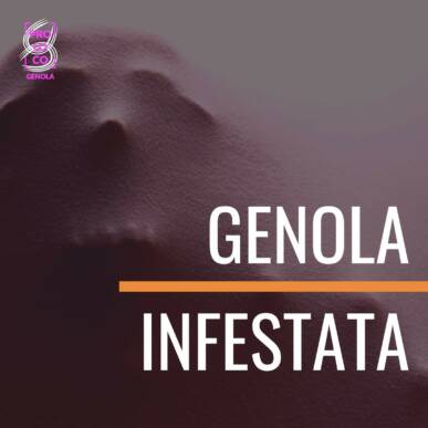 Genola Infestata