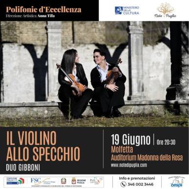 Il violino allo specchio – DUO GIBBONI