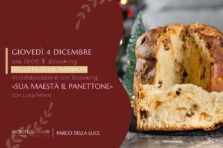 SUA MAESTA’ IL PANETTONE – di e con Luca Monti