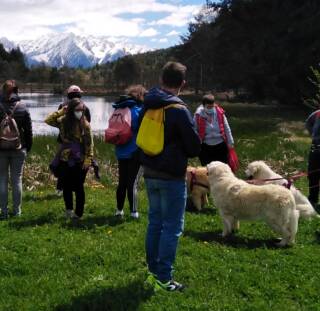 passeggiate a 6 zampe (passeggiate cinofile)-presso la Riserva Naturale Pian di Gembro