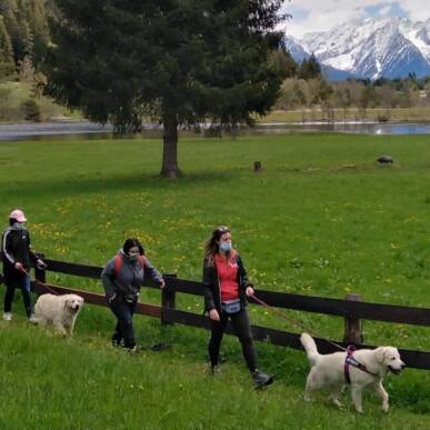 passeggiate a 6 zampe (passeggiate cinofile)-presso la Riserva Naturale Pian di Gembro