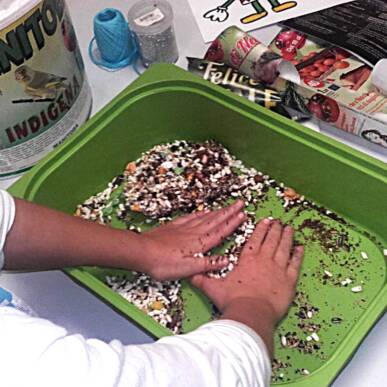 mangiatoie per gli uccellini