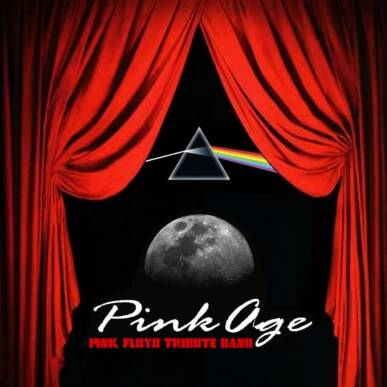 PLAYING “THE DARK SIDE OF THE MOON” AND “PULSE”: A NIGHT WITH PINKAGE