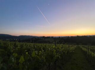 Degustibus Show serata dedicate alla passione per il vino e improvvisazione teatrale 20/01 Bacco del Monte