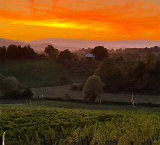 Degustibus Show serata dedicate alla passione per il vino e improvvisazione teatrale 20/01 Bacco del Monte