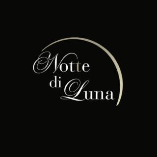 NOT(t)E DI LUNA – LAURA MARZADORI VIOLINO SOLO