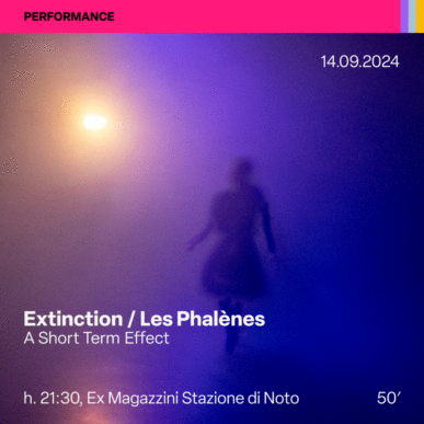 Extinction Les Phalenès