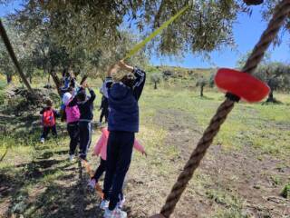 Festa d’autunno