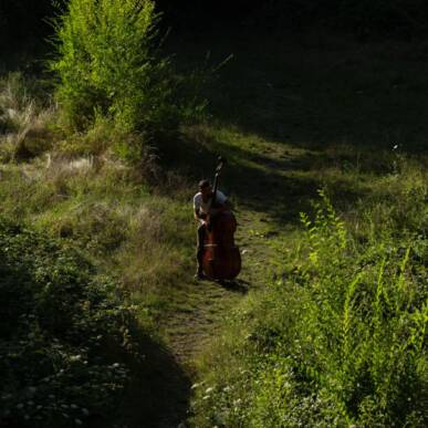 WALKING BASSES – matinée