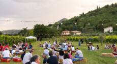 SOUND OF WINE – Concerto in vigna al tramonto
